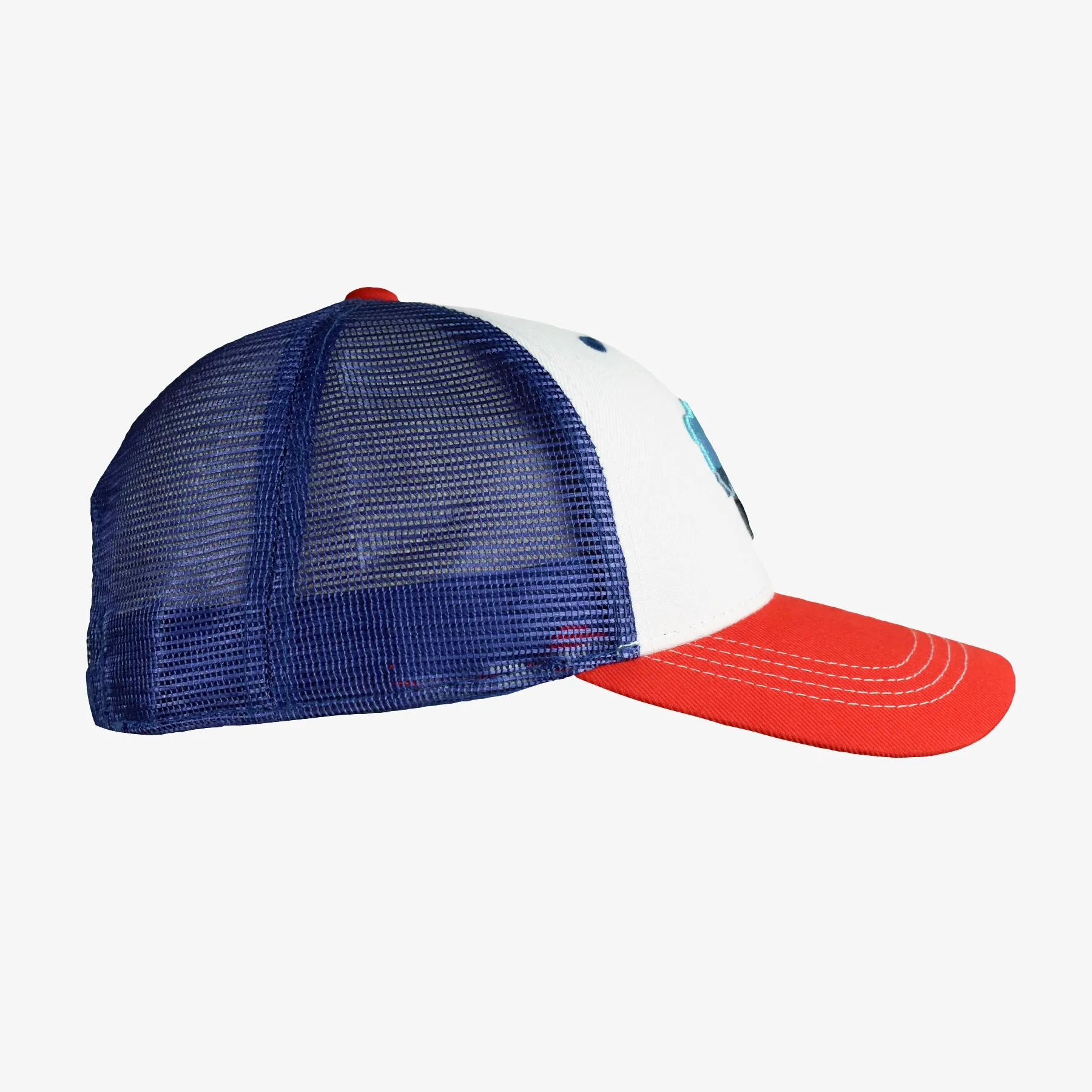 Low Pro Buffalo Horizons Snapback Hat