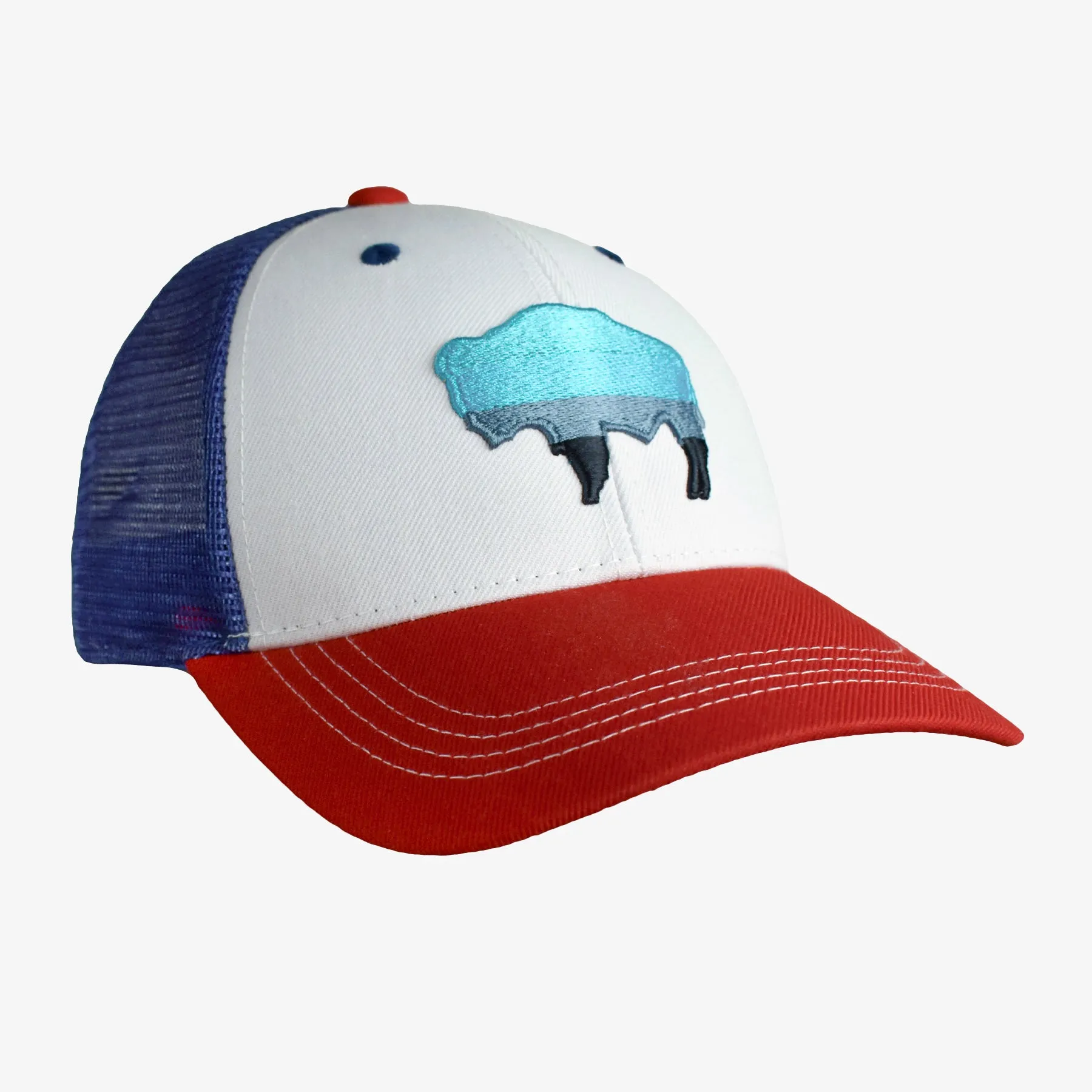 Low Pro Buffalo Horizons Snapback Hat