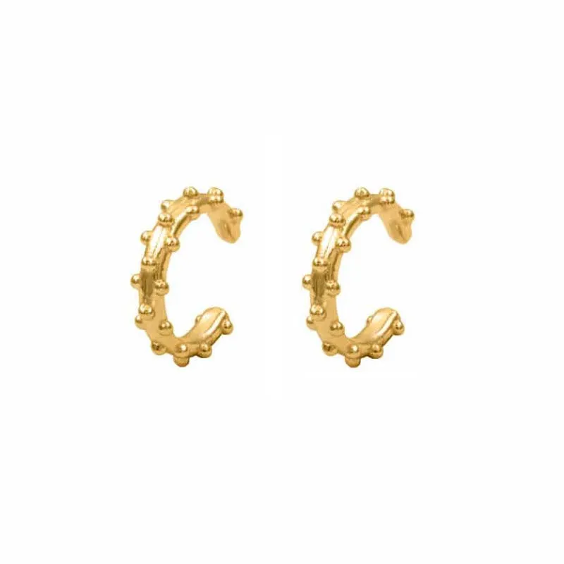 Zircon Stud Hoop Earrings for Women